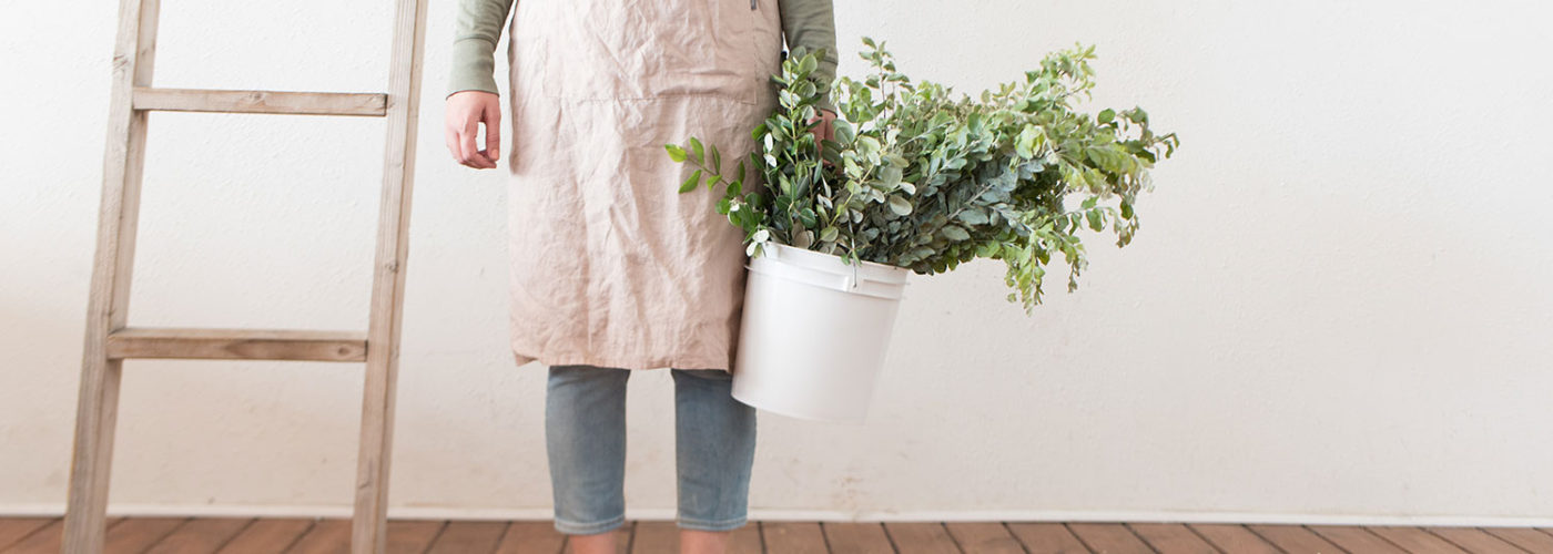 10 Reasons why add plants to your home
